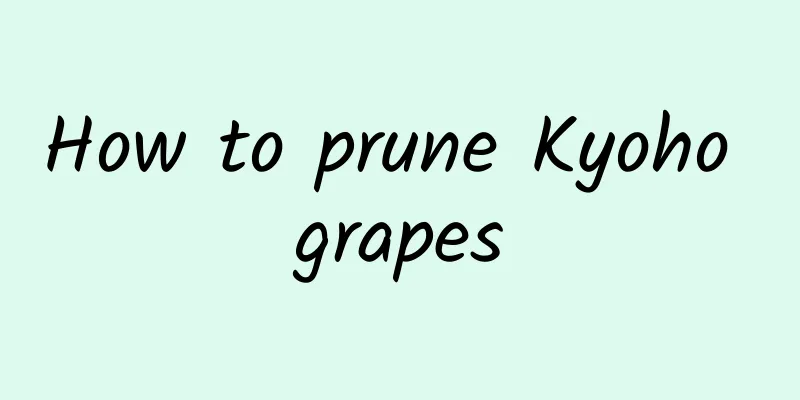 How to prune Kyoho grapes