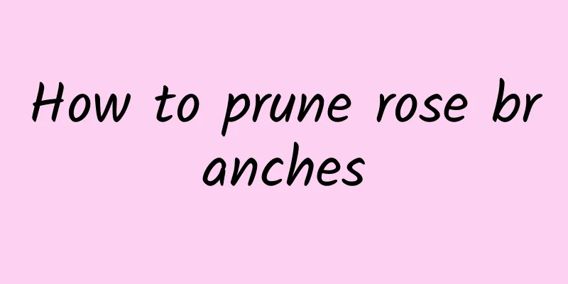 How to prune rose branches