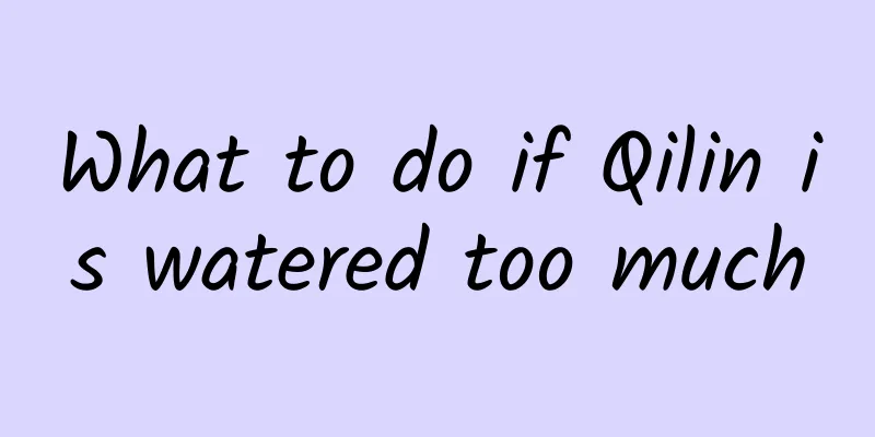 What to do if Qilin is watered too much