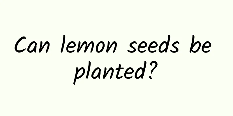 Can lemon seeds be planted?