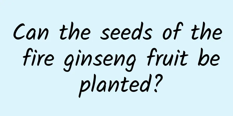 Can the seeds of the fire ginseng fruit be planted?