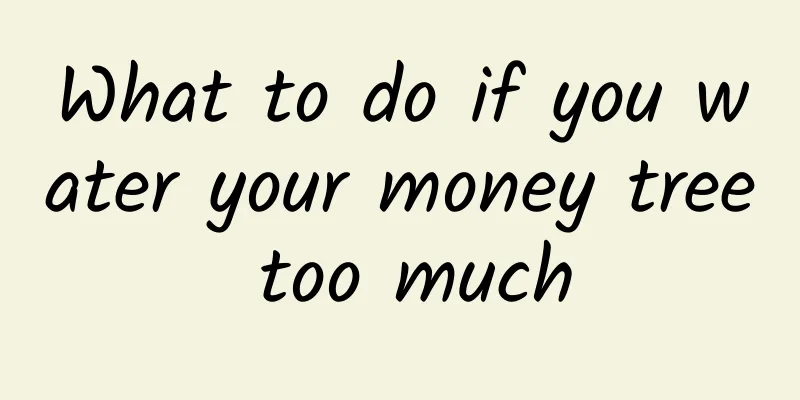 What to do if you water your money tree too much