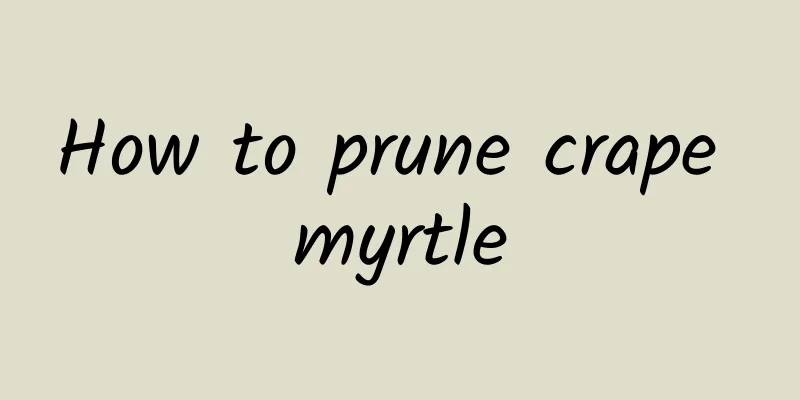 How to prune crape myrtle