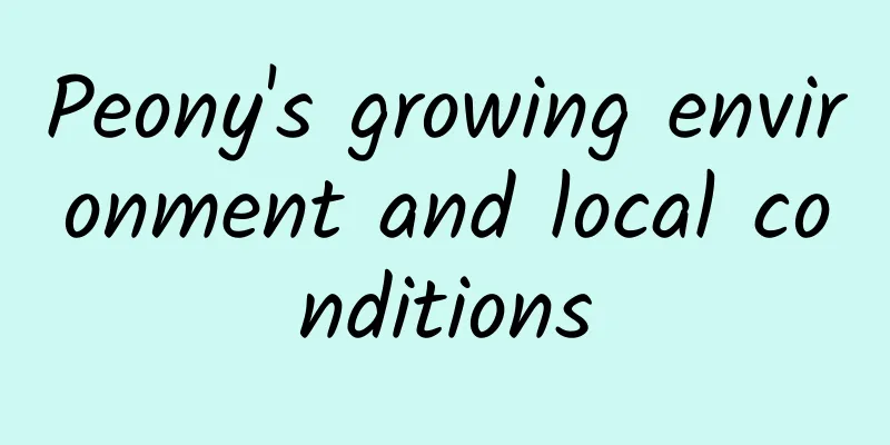 Peony's growing environment and local conditions