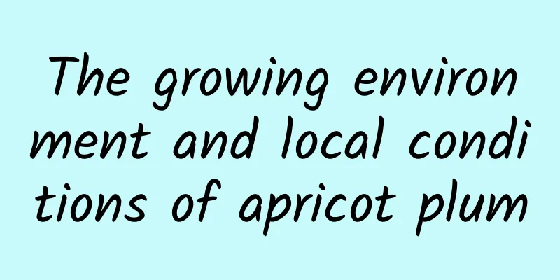 The growing environment and local conditions of apricot plum
