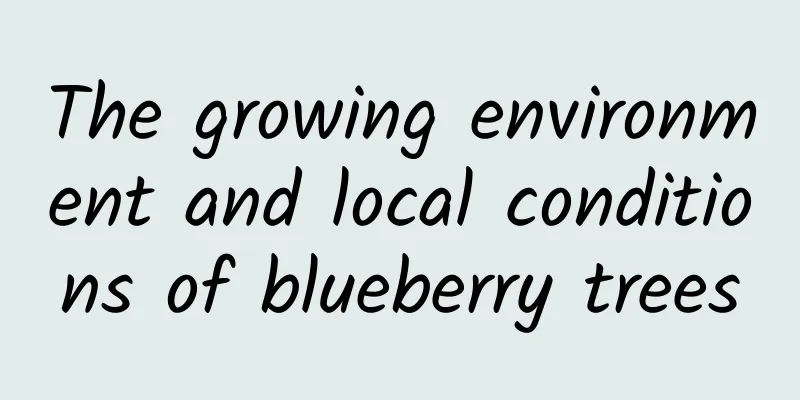 The growing environment and local conditions of blueberry trees