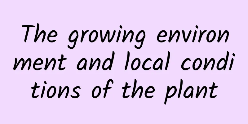 The growing environment and local conditions of the plant