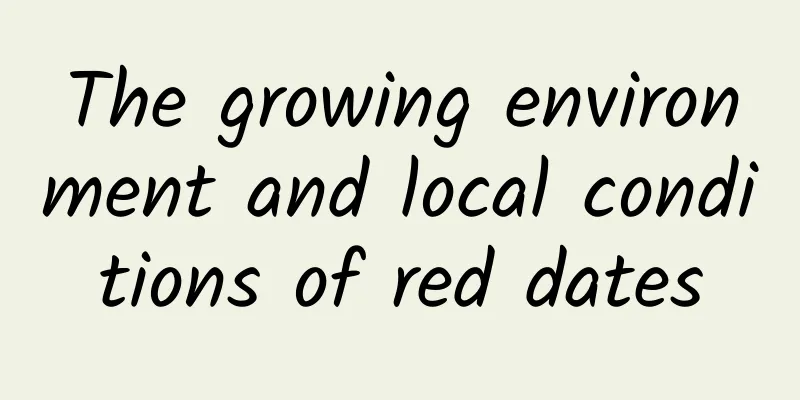 The growing environment and local conditions of red dates