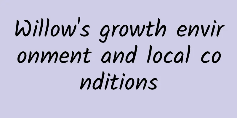 Willow's growth environment and local conditions