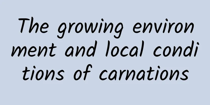 The growing environment and local conditions of carnations