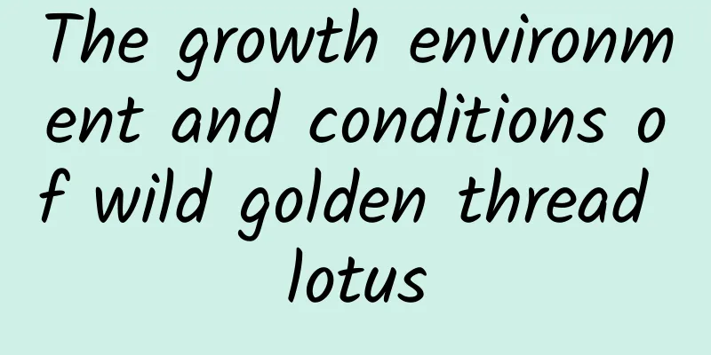 The growth environment and conditions of wild golden thread lotus