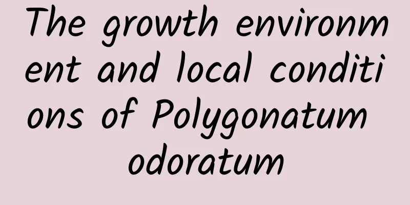 The growth environment and local conditions of Polygonatum odoratum