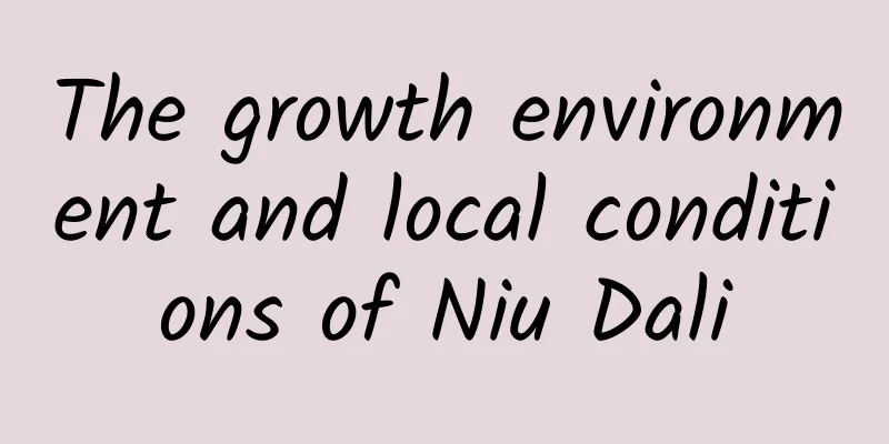 The growth environment and local conditions of Niu Dali