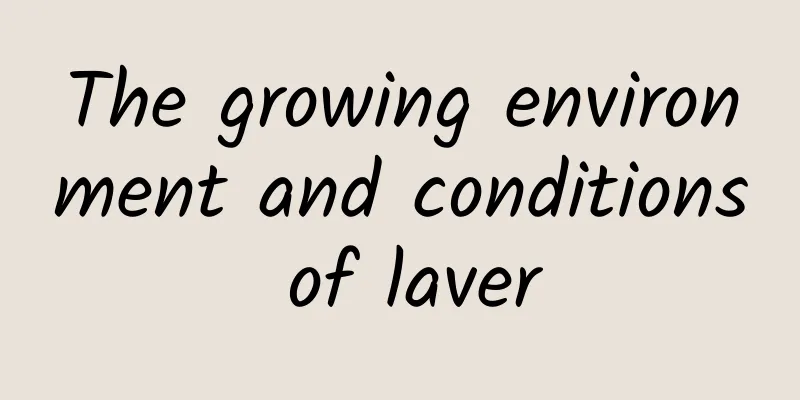 The growing environment and conditions of laver