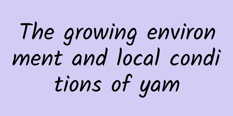 The growing environment and local conditions of yam