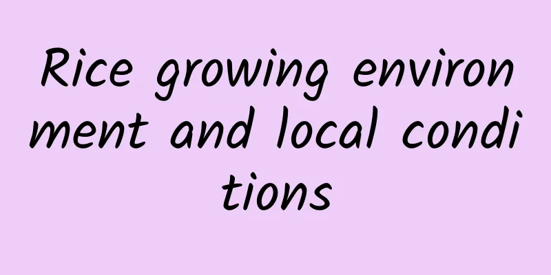 Rice growing environment and local conditions