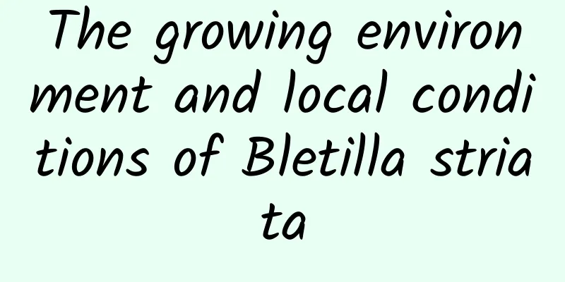 The growing environment and local conditions of Bletilla striata