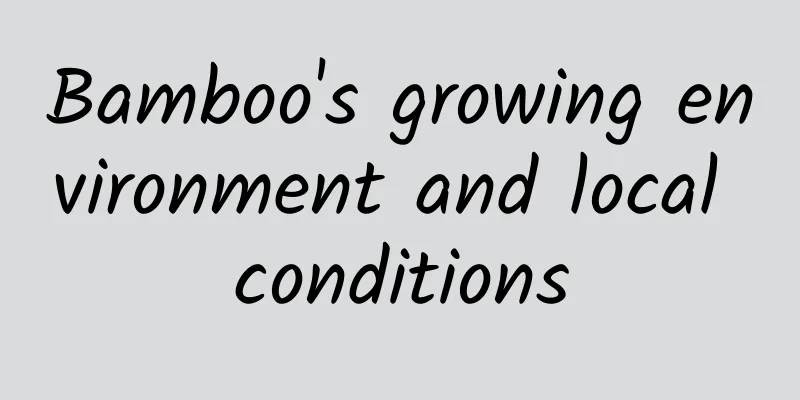 Bamboo's growing environment and local conditions