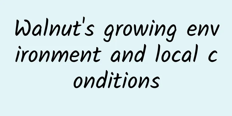 Walnut's growing environment and local conditions