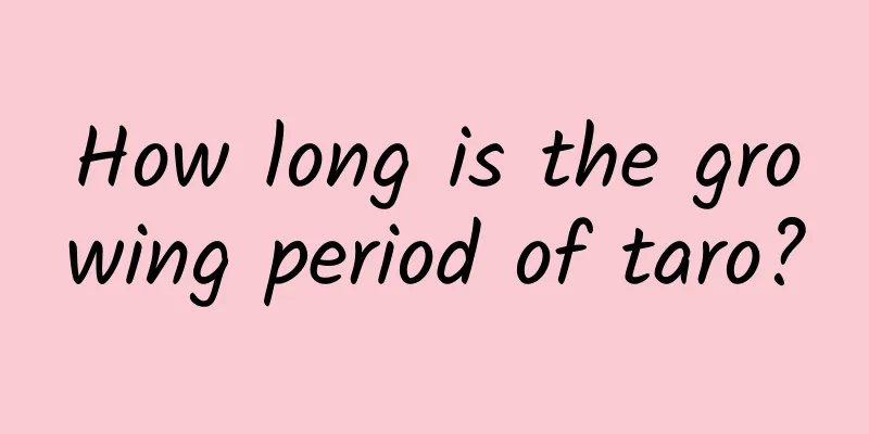 How long is the growing period of taro?
