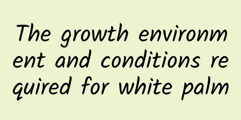 The growth environment and conditions required for white palm