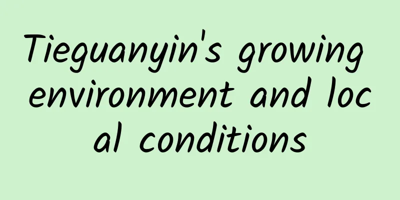 Tieguanyin's growing environment and local conditions