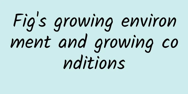 Fig's growing environment and growing conditions