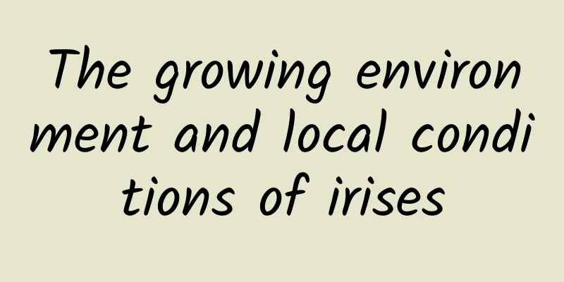 The growing environment and local conditions of irises