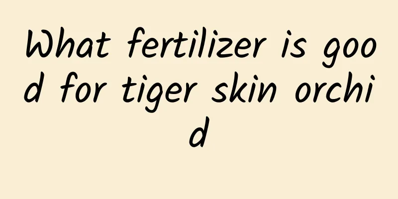 What fertilizer is good for tiger skin orchid