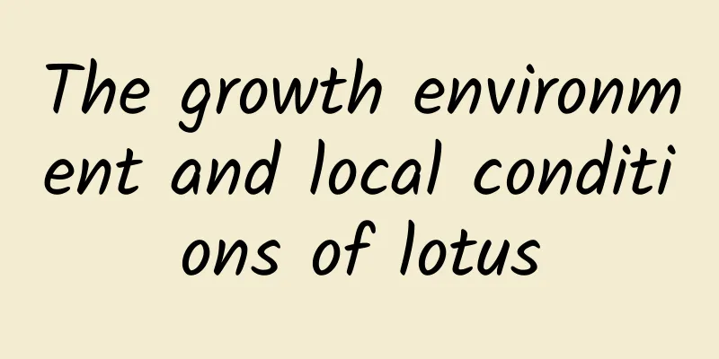 The growth environment and local conditions of lotus