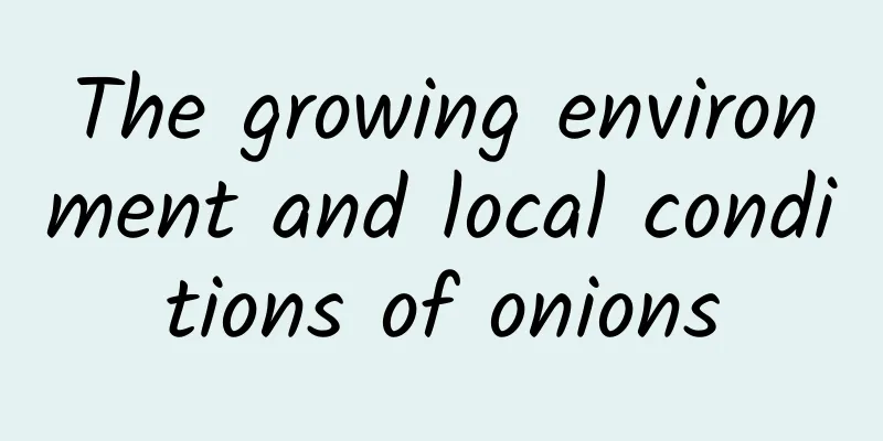 The growing environment and local conditions of onions