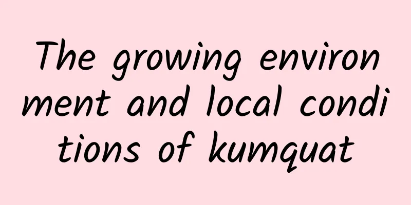 The growing environment and local conditions of kumquat