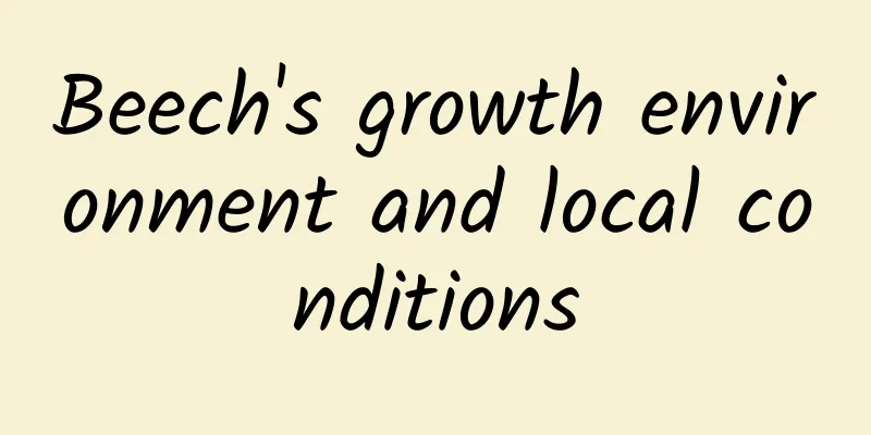 Beech's growth environment and local conditions