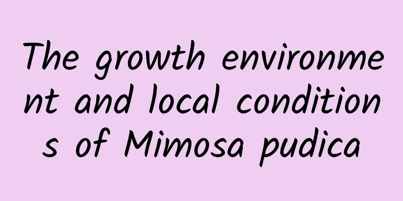 The growth environment and local conditions of Mimosa pudica