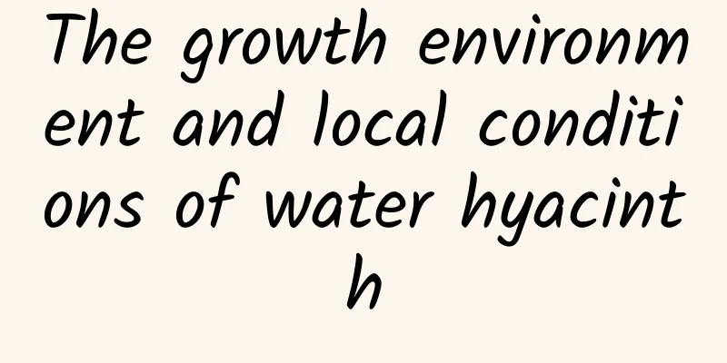 The growth environment and local conditions of water hyacinth
