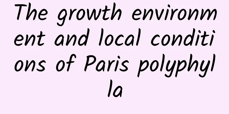 The growth environment and local conditions of Paris polyphylla