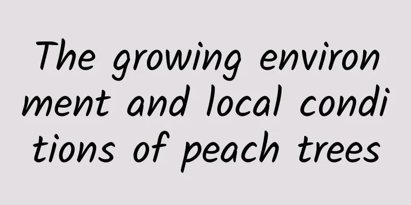 The growing environment and local conditions of peach trees