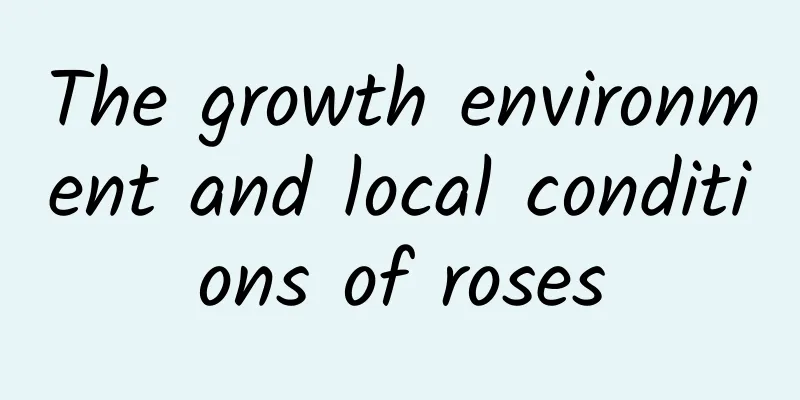The growth environment and local conditions of roses