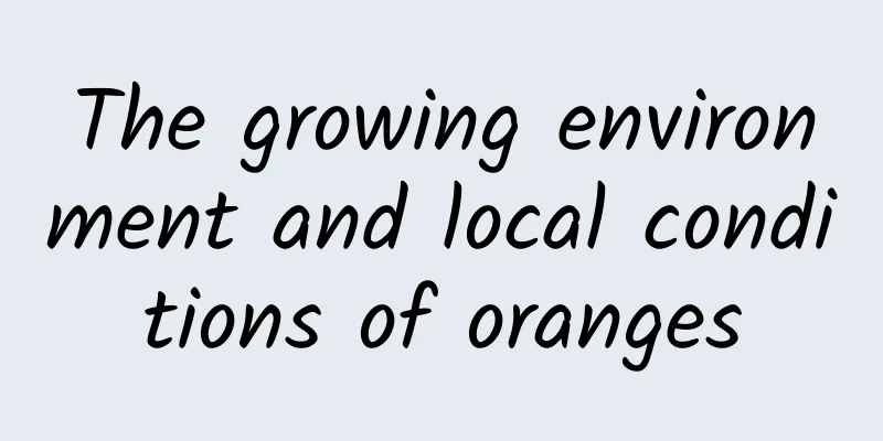 The growing environment and local conditions of oranges
