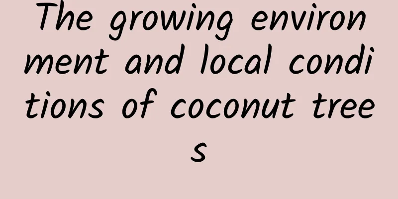 The growing environment and local conditions of coconut trees