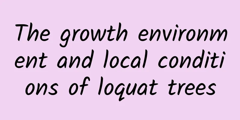 The growth environment and local conditions of loquat trees