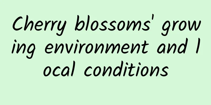 Cherry blossoms' growing environment and local conditions