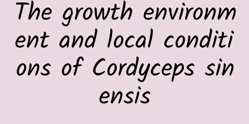 The growth environment and local conditions of Cordyceps sinensis