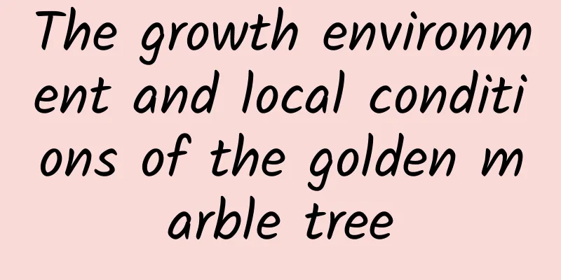 The growth environment and local conditions of the golden marble tree