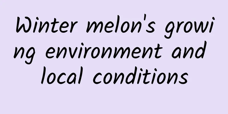 Winter melon's growing environment and local conditions