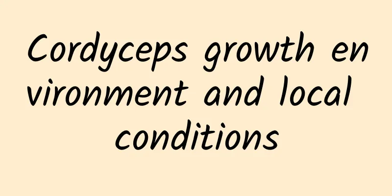 Cordyceps growth environment and local conditions