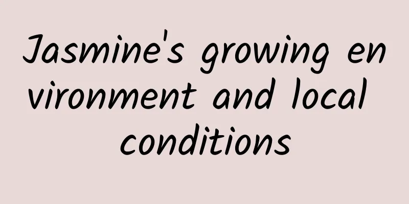 Jasmine's growing environment and local conditions