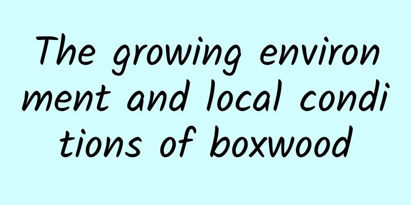 The growing environment and local conditions of boxwood