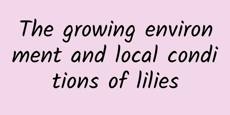 The growing environment and local conditions of lilies