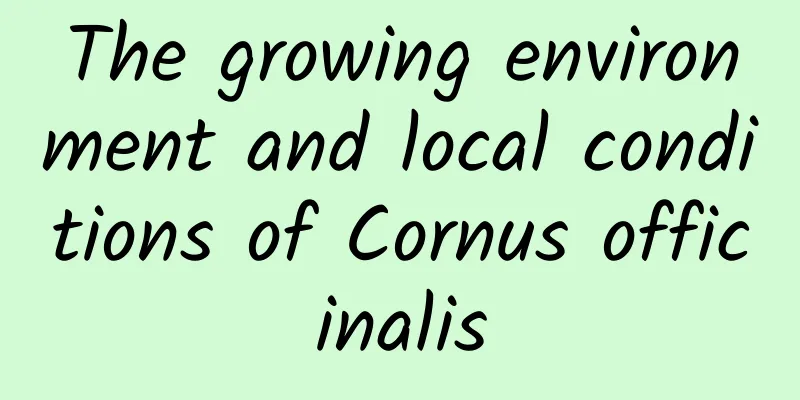 The growing environment and local conditions of Cornus officinalis